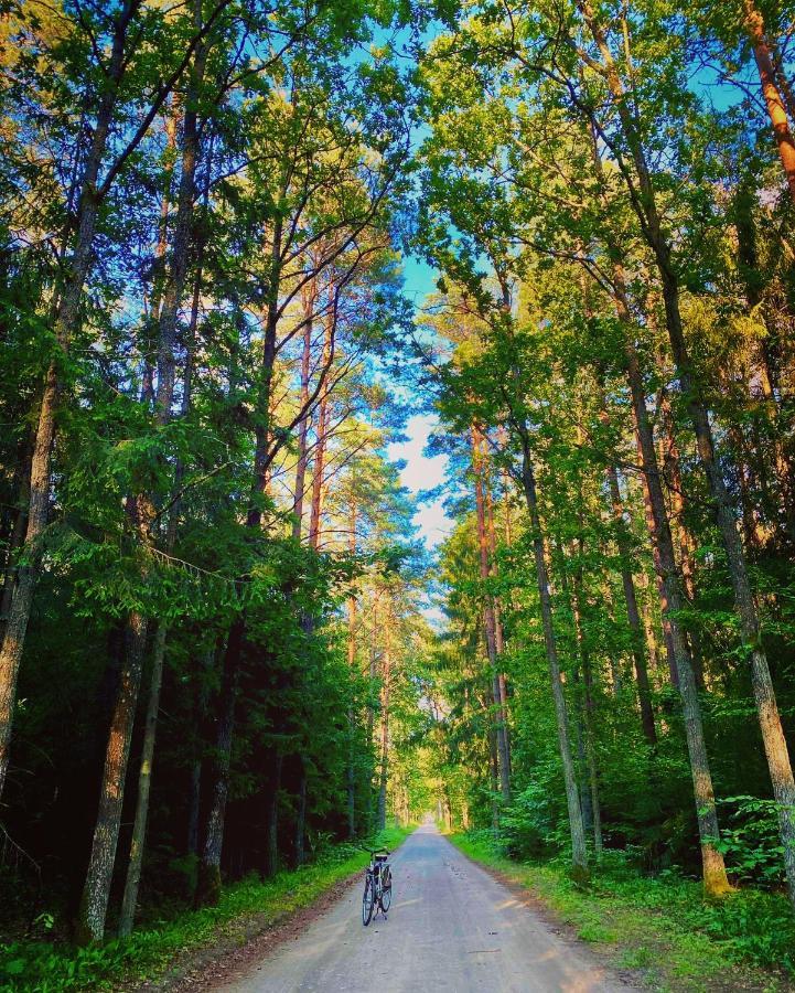 Apartament Magia Puszczy Z Widokiem Na Puszcze Bialowieska Hajnowka Luaran gambar