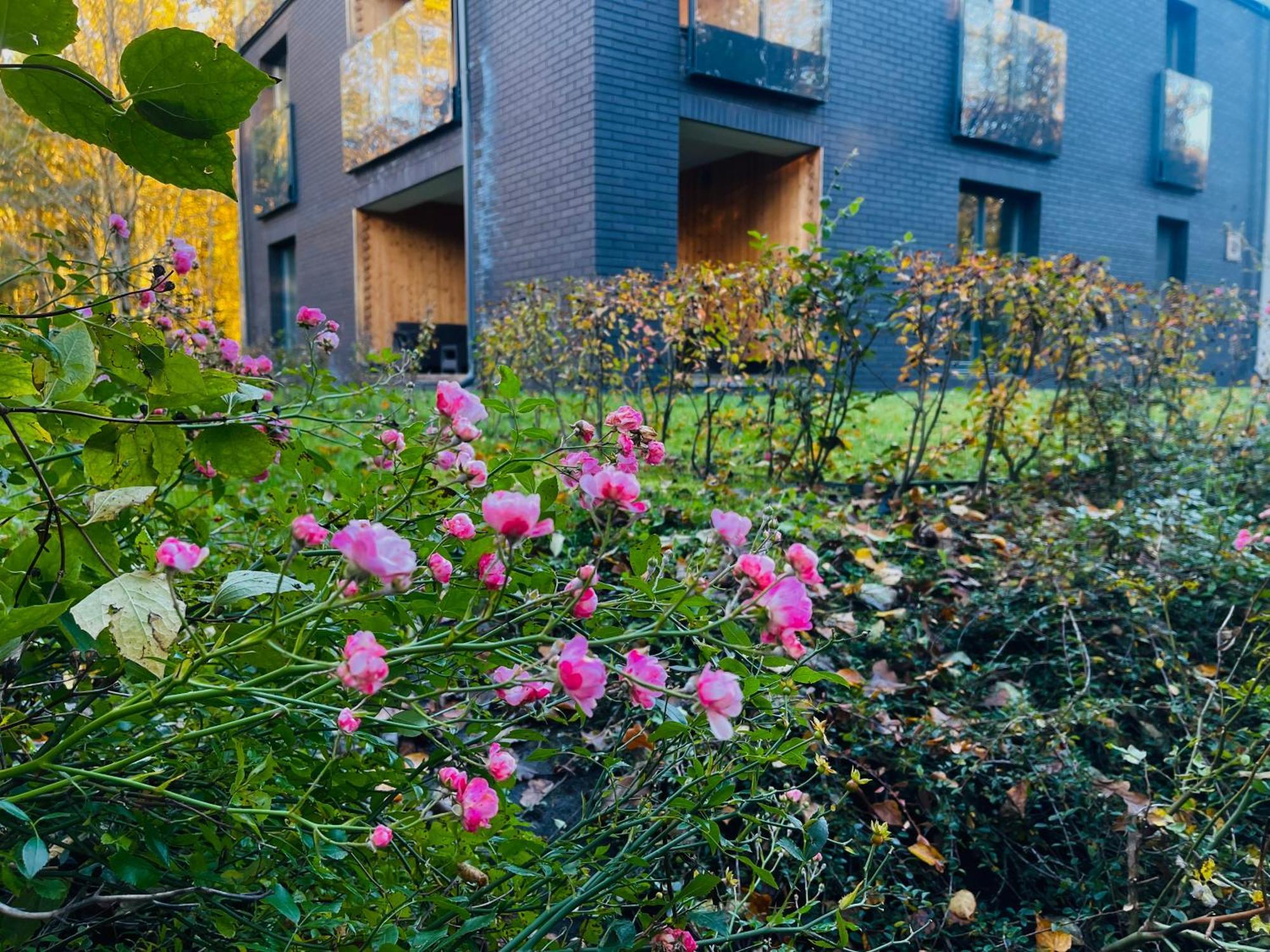 Apartament Magia Puszczy Z Widokiem Na Puszcze Bialowieska Hajnowka Luaran gambar